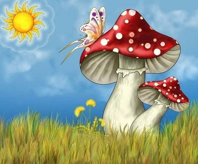 Виды грибов в веселых стихах для детей